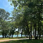 Center Lavanda * Umag