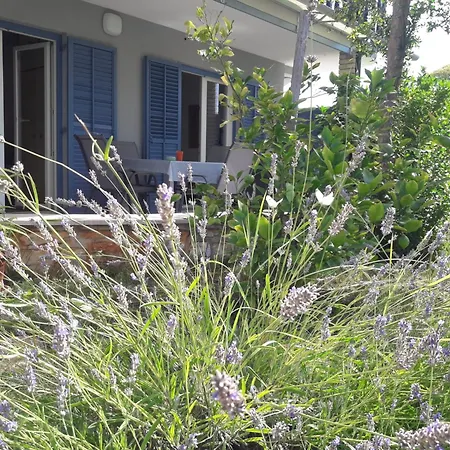 Center Lavanda * Umag