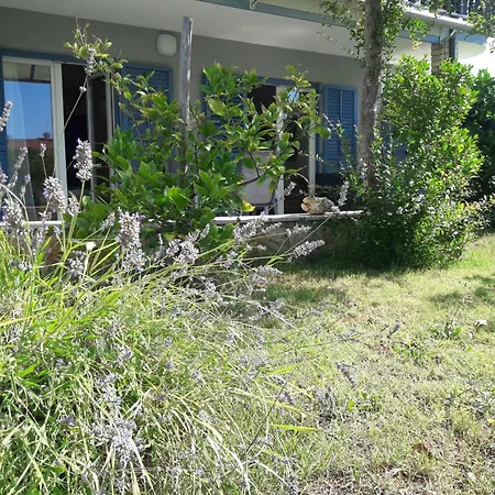 Daire Center Lavanda