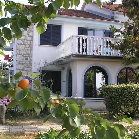 Center Lavanda *